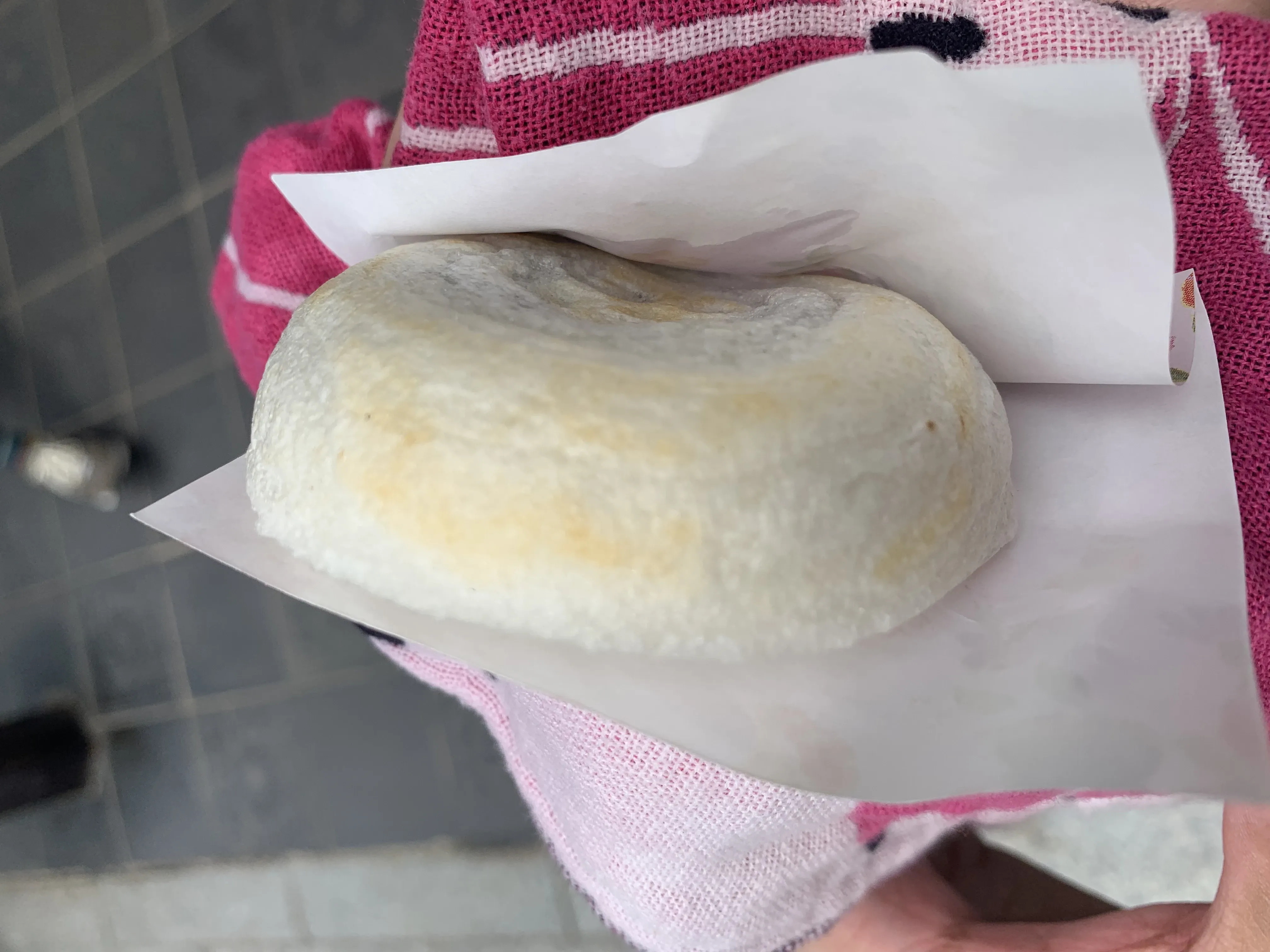 다자이후 우메가에모치